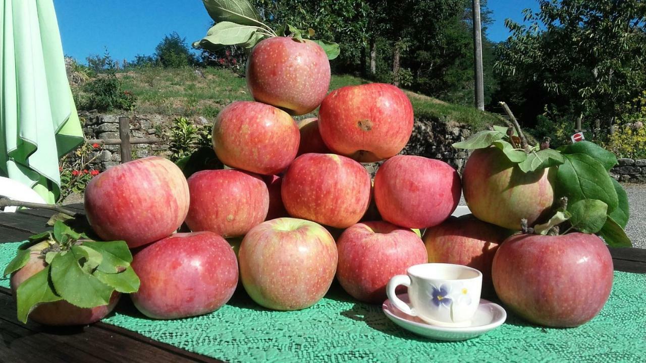 Il Poggio Di Traverde Pontremoli Luaran gambar